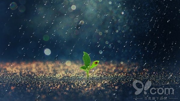 592ea04df2102-91_autow600-.jpg 592ea04df2102-91_autow600-.jpg