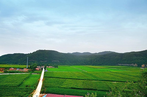 497e9d526a56464dafae903873b5d3a9_th.png 497e9d526a56464dafae903873b5d3a9_th.png